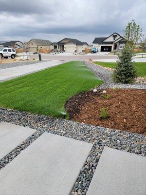 Fresh Sod Needs Lots Of Water! #LavishLawns #LawnCare #Landscaping #NewInstallation