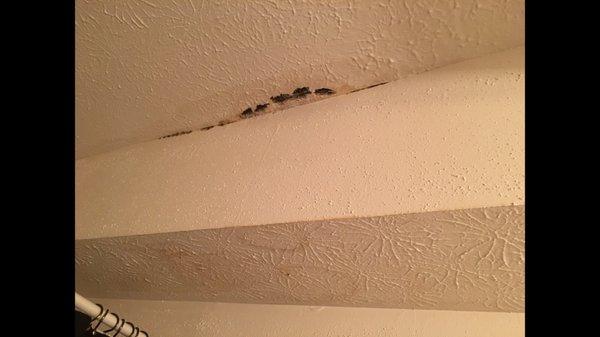 I didn't get my deposit back... did I spill black mold on the ceiling?