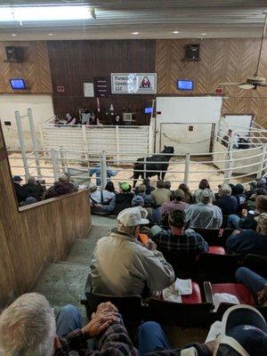 Farmington Regional Stockyards