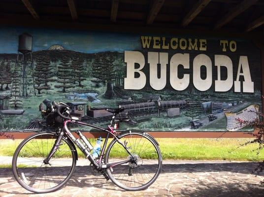 Explore the wild side of ....Bucoda...