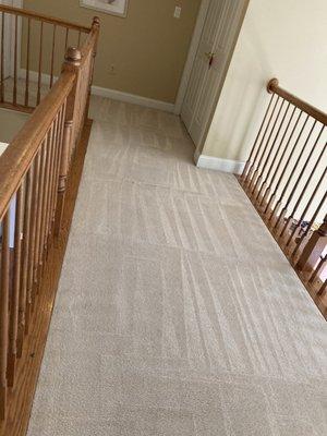 Gilmore Carpet & Upholstery Cleaning Service