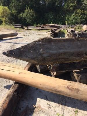 old wood pulled out of Cape Fear River