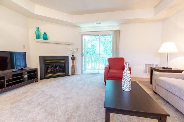 Gas fireplace in living room