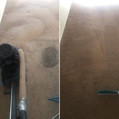 Before and after our RX20 cleaning machine goes over large stain.