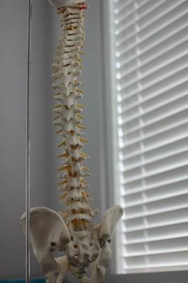 All of our licensed therapists have experience treating spinal disorders from chronic pain to post-operative conditions to migra