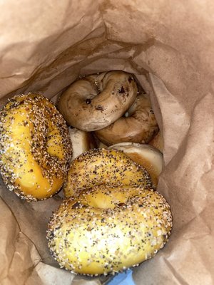 Peak inside our bag of our Baker's dozen bagels... EVERYTHING Bagel, BLUEBERRY Bagel, PLAIN bagel seen.