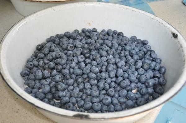 Blueberries!