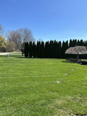 Front yard-first mow of the season.