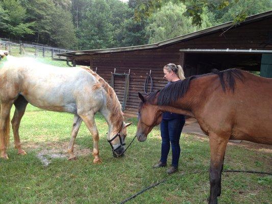 Promise and Colorado horseing around with us