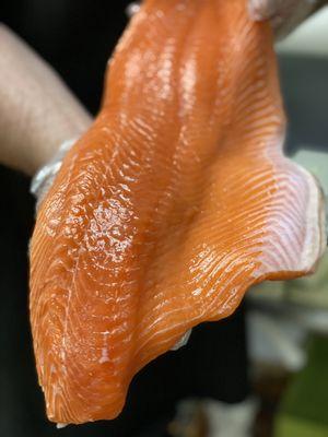 Wild Salmon, fresh, in season!