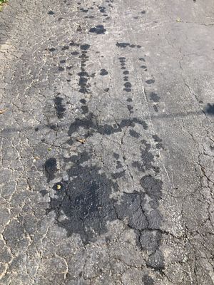 My driveway the day they towed my car back to their shop.