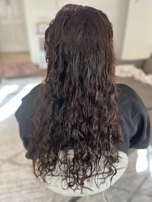 Before Photo

Brazilian Blowout 
12 Week Frizz Free Smoothing Treatment