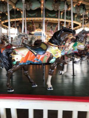 Zachary's Nona, newly restored at the paragon carousel.