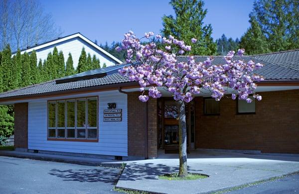 Chehalis Children's Clinic