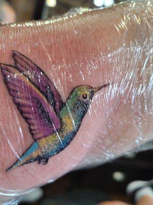 My hummingbird