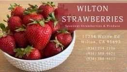 Wilton Strawberries