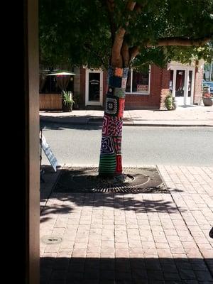 Look for the Yarn bomb tree!