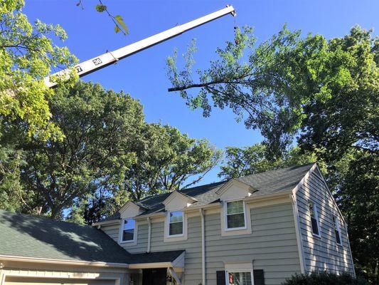 Our 90 foot crane makes removing this backyard tree a quick, safe, and easy project