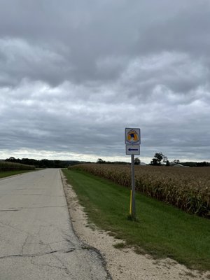 Tom Dooley Orchard