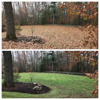 Fall clean up before and after