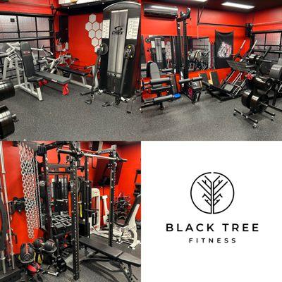 Black Tree Fitness