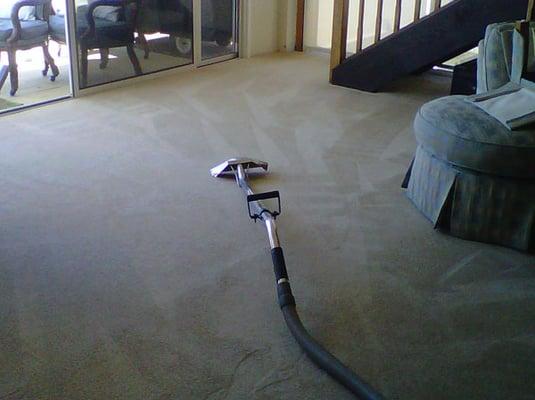 carpet cleaning