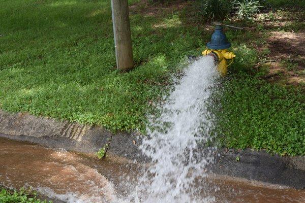 Hydrant Flushing Maintenance