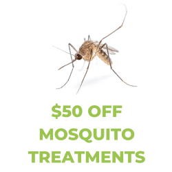 Reclaim your yard and save $50 on mosquito treatments