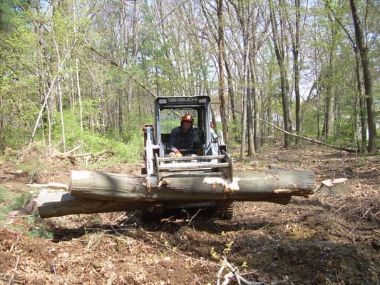 Clearing a lot with our low impact skid steer