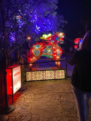 This is the dragon that is made out of tiny bottles of colored water