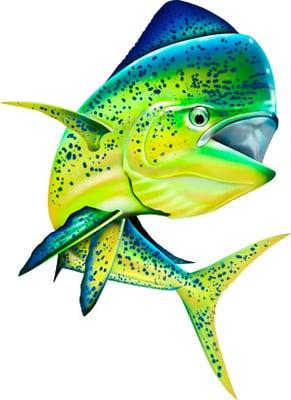 Bull Dolphin clipart illustration