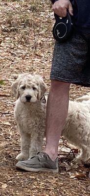 Mötley on the nature trail