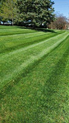 Lawn maintenance