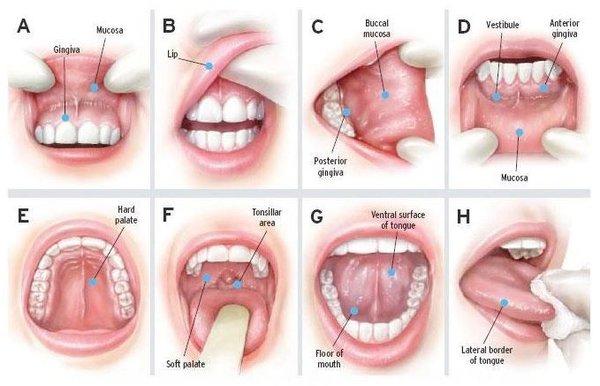 Joseph R Hendrick, DDS