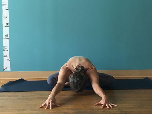 New to Yoga?  The Introduction To Yoga Series offers Beginners a slow, methodical, and self-honoring approach to yoga