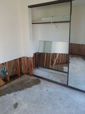 Water Damage with Mold