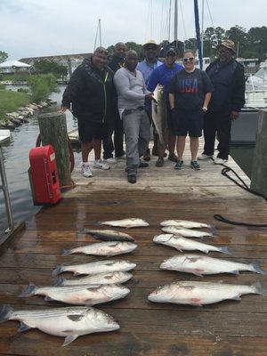 Awesome catch of rockfish