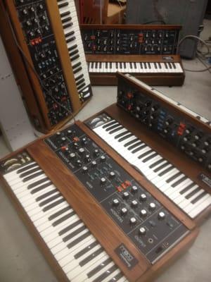 Mini Moog Model-D Synthesizers