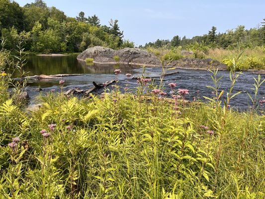 Swing Bridge hiking trail