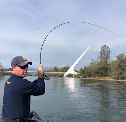 Bent Powell rod in front of the sun dial bridge