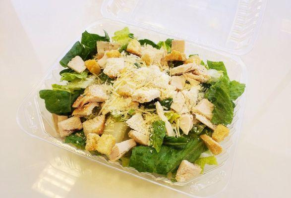 Chicken Caesar Salad