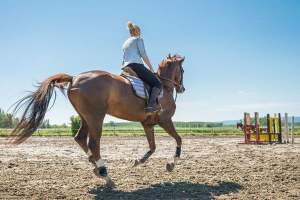 English Riding Lesson