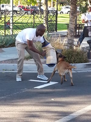 Not sure what this group was called.  I was walking buy and snapped this pic of the dog attacking that man.