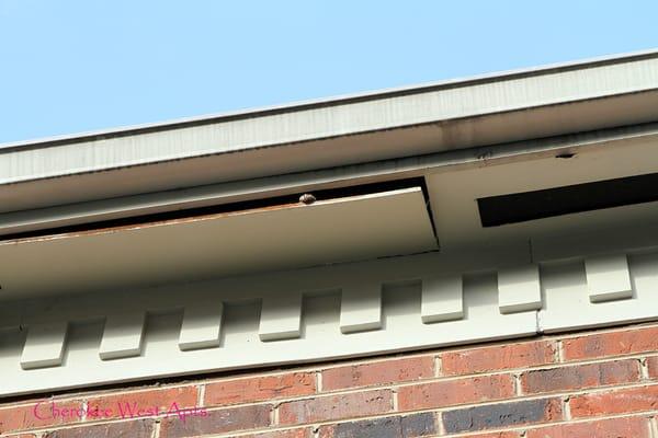 Gutter and facial need replaced