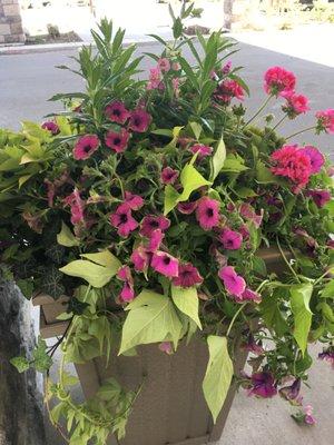 Seasonal Flower Containers