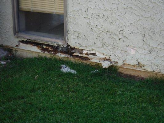 Structural, Water Intrusion, & Stucco Issues