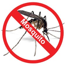 Mosquito Control