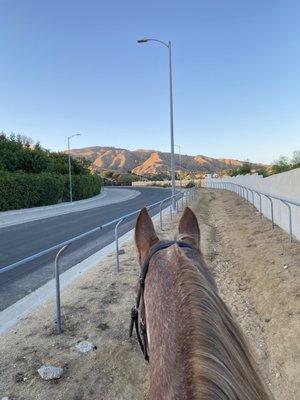 Bridle trail through the neighborhood, looking toward the hills of Omelveny Park.