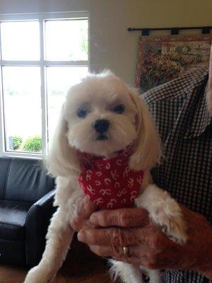 Cooper looking handsome after his groom!