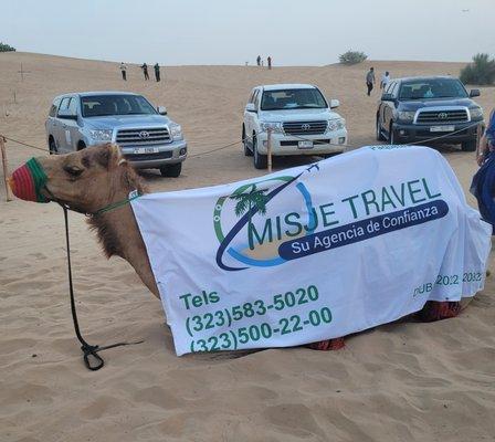 MISJE TRAVEL TU AGENCIA DE CONFIANZA LLAMANOS TEL 323 583 50 20